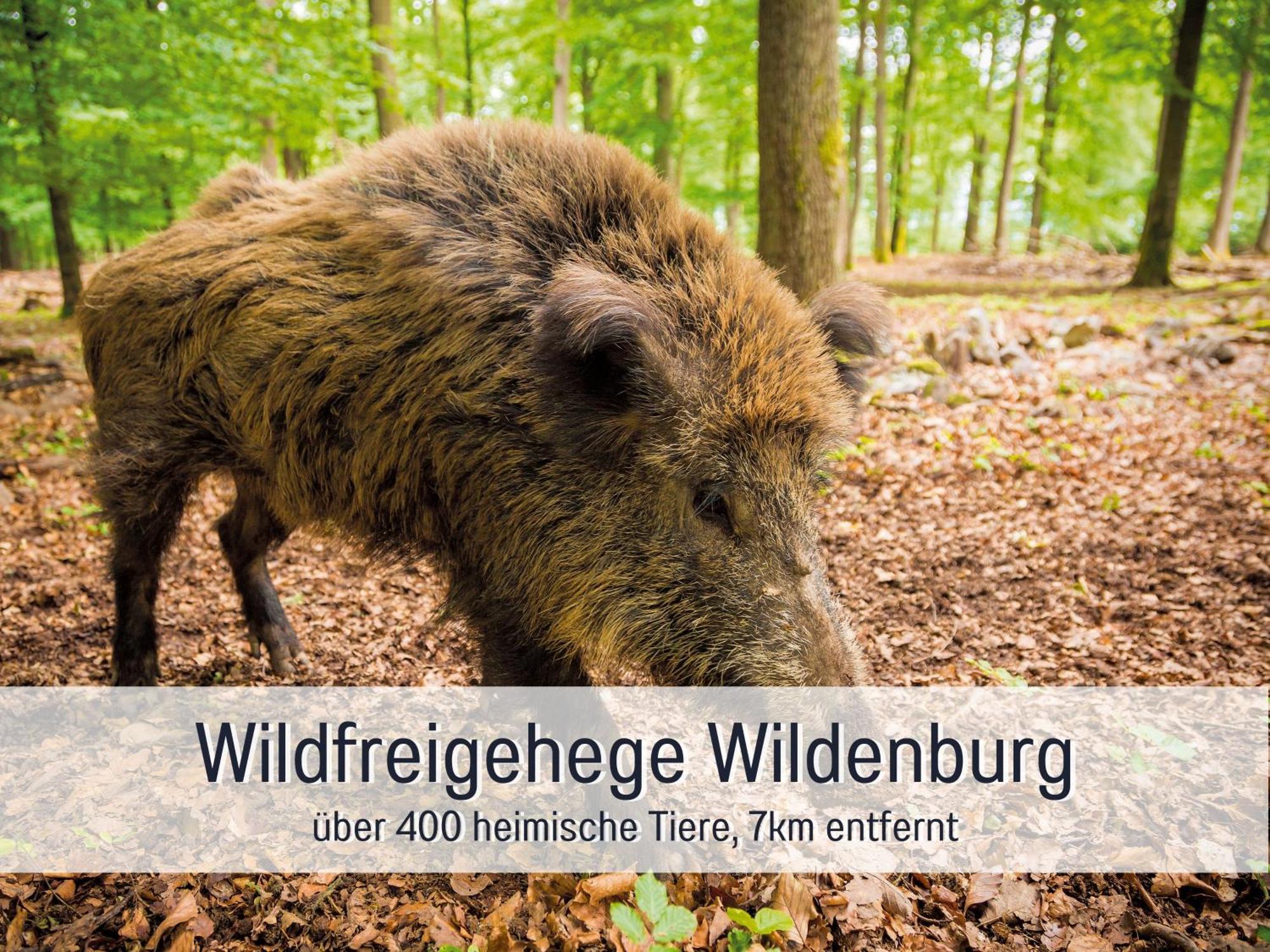 4 Sterne Ferienhaus "Zum Weiher" Allenbach ภายนอก รูปภาพ
